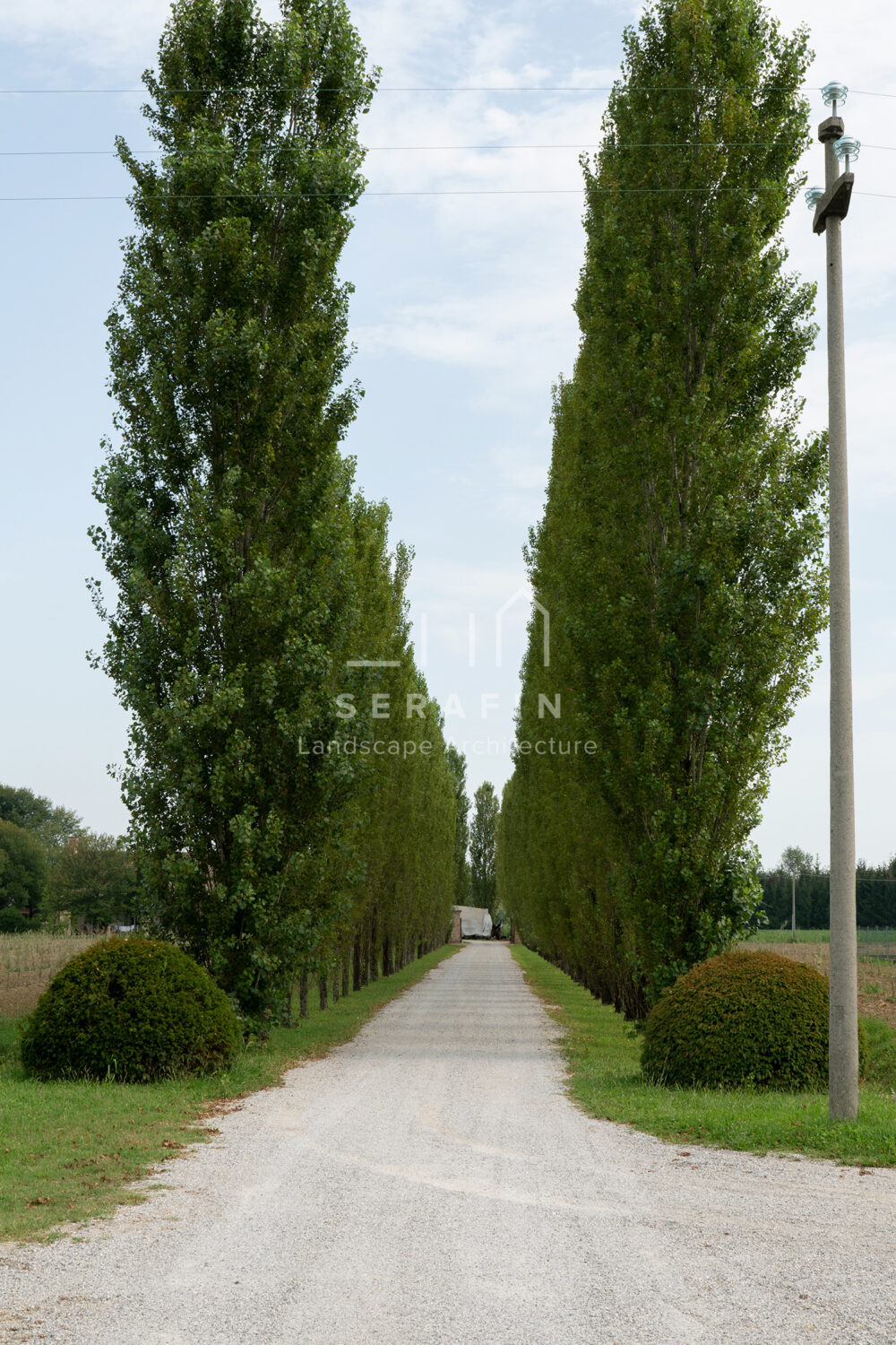 progetto ingresso abitazione privata con siepe campestre - 7