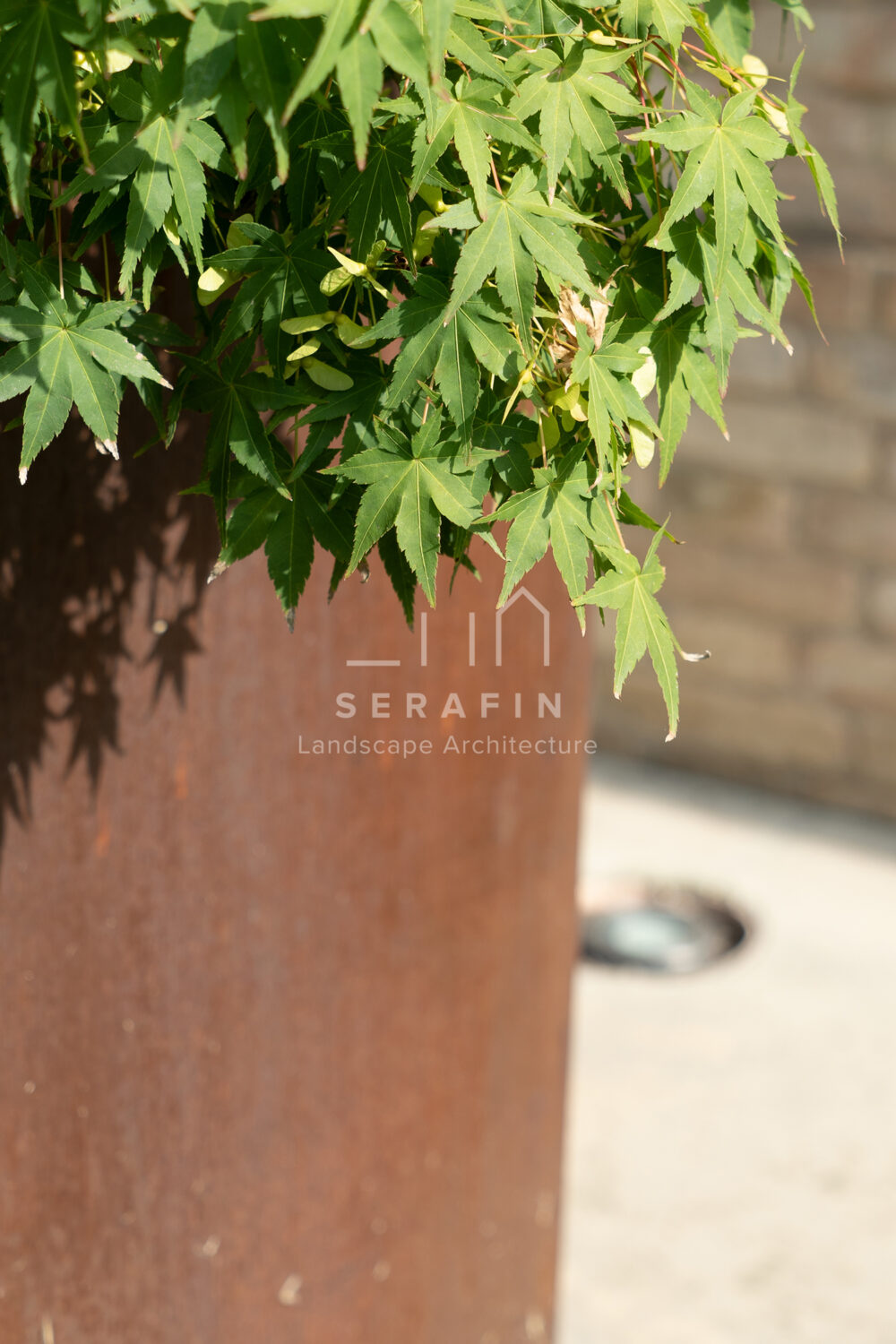 progetto ingresso abitazione privata con siepe campestre - 9