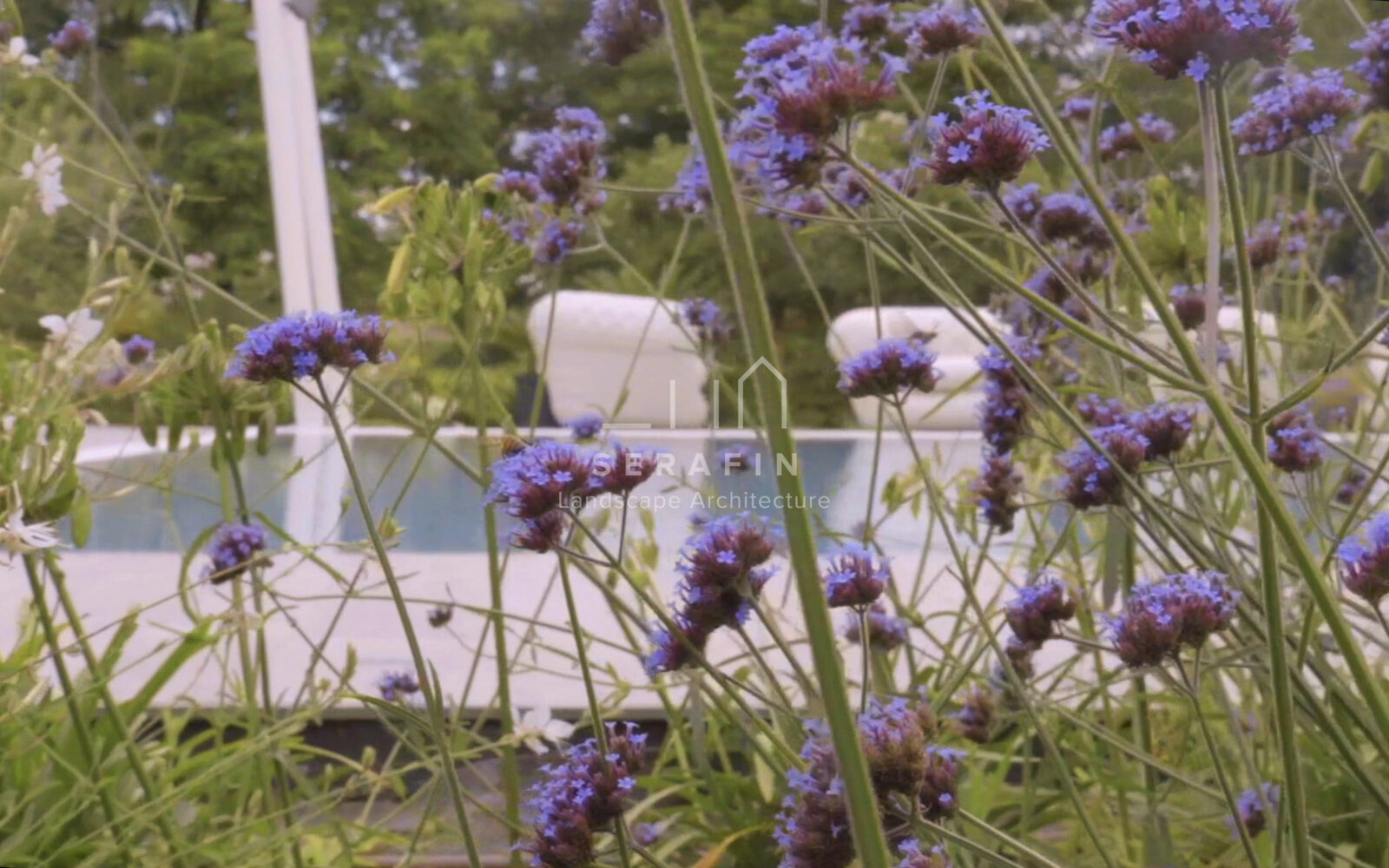 luxury garden with swimming pool - 7