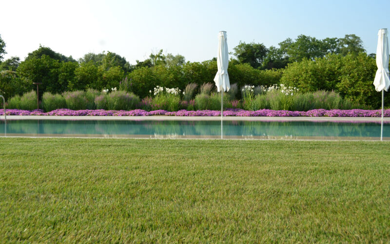 progetto giardino esclusivo con piscina