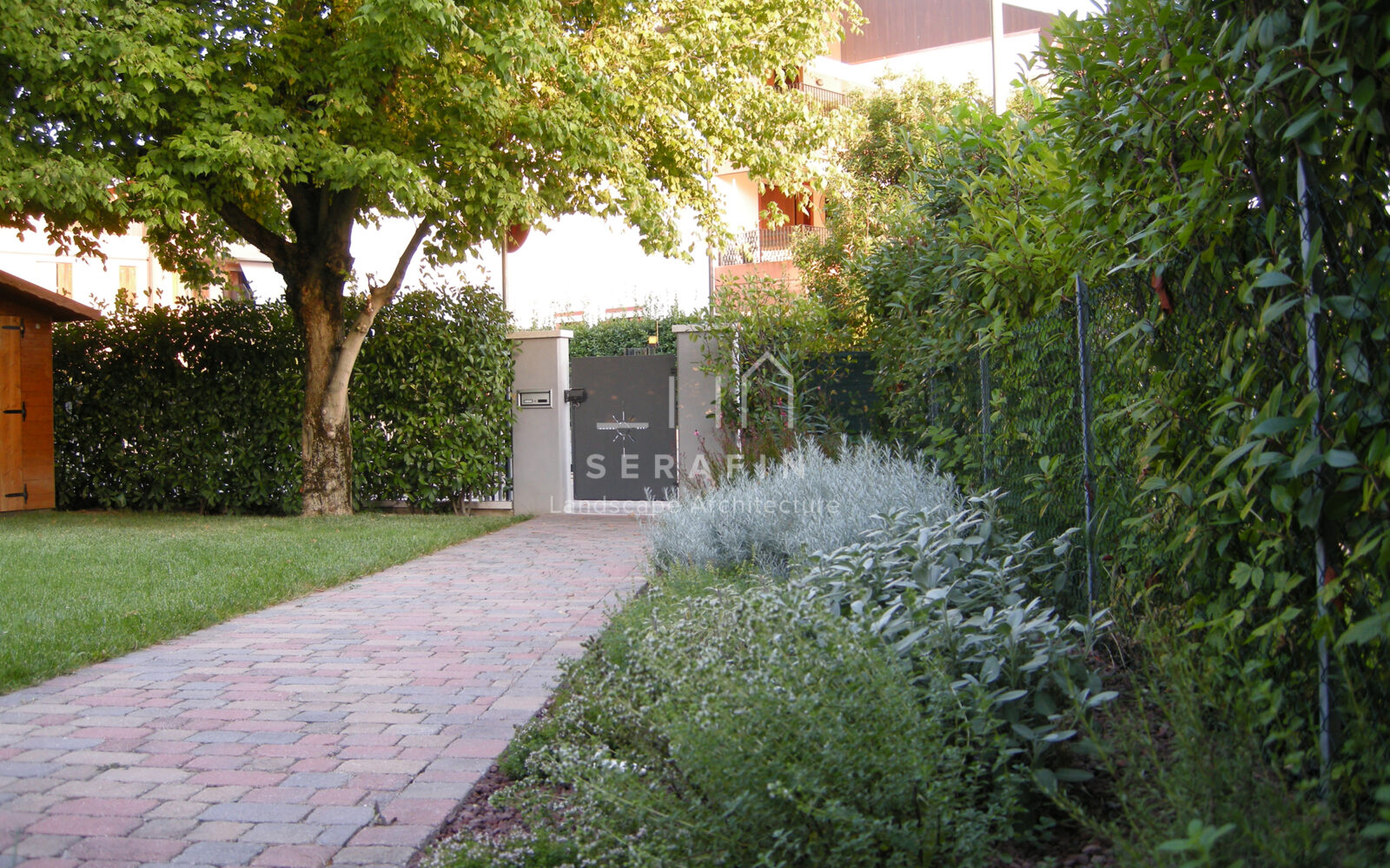 giardino privato con erbacee perenni a Treviso - 2