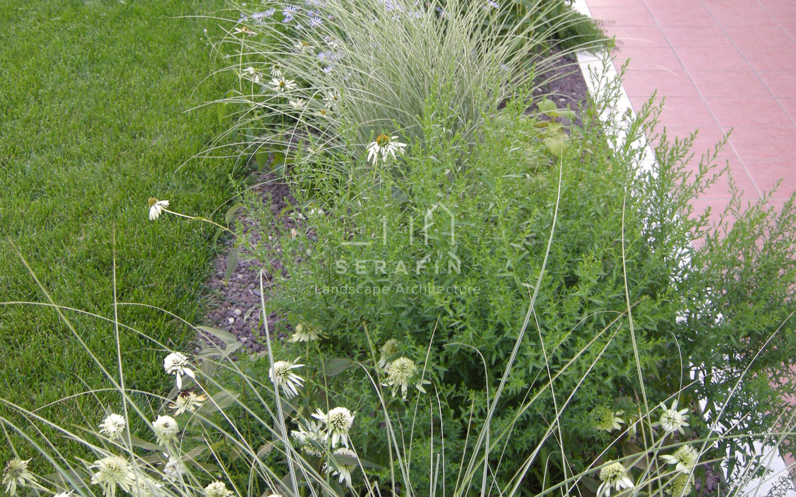 giardino privato con erbacee perenni a Treviso - 5