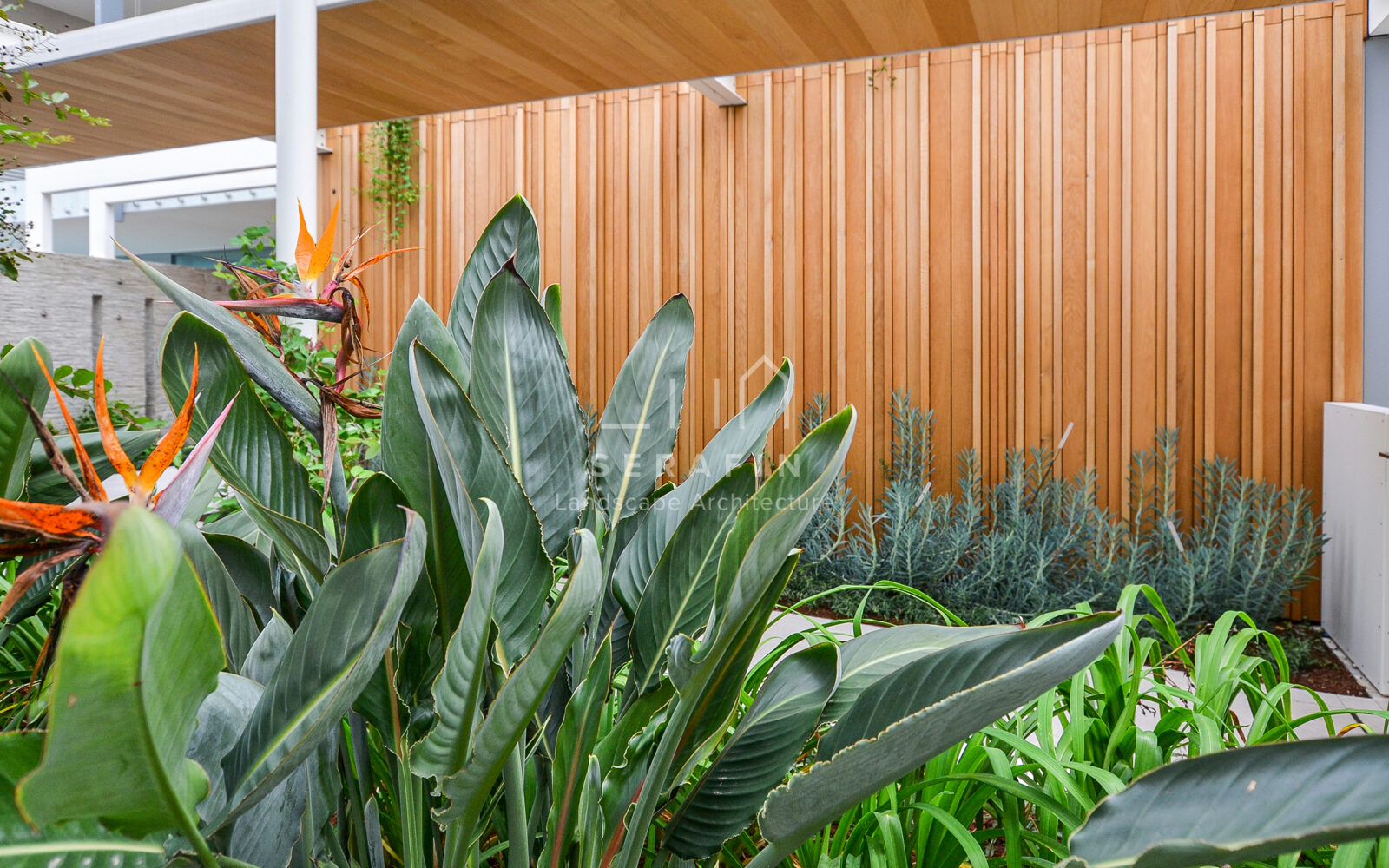 giardino per complesso immobiliare jesolo - 12