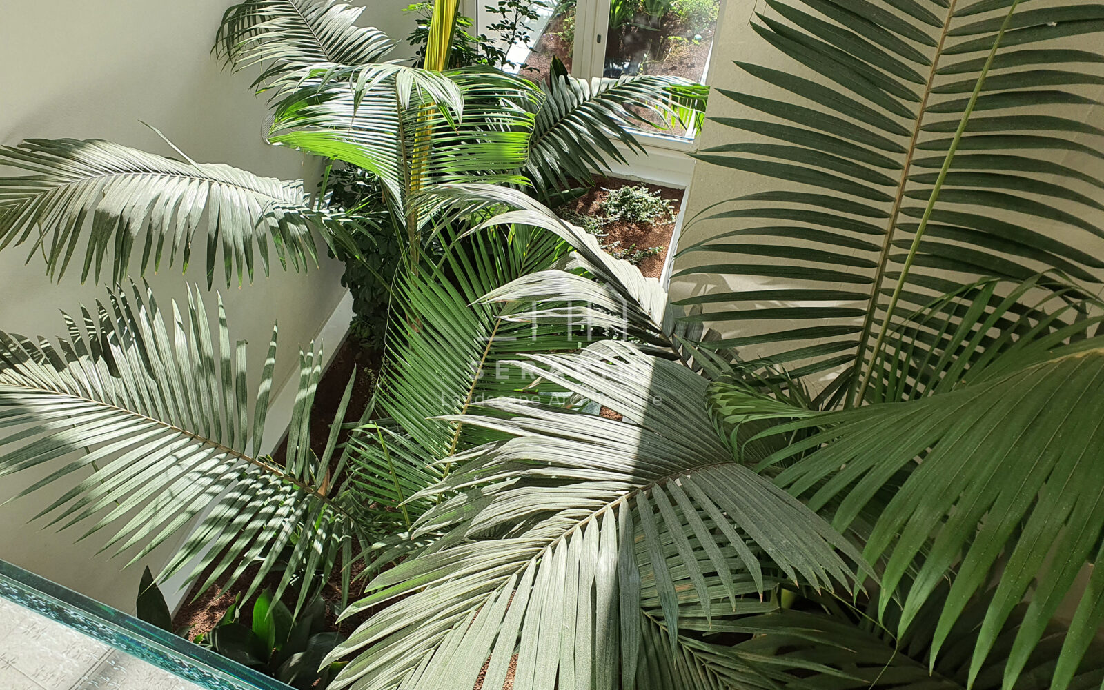 giardino per complesso immobiliare jesolo - 26