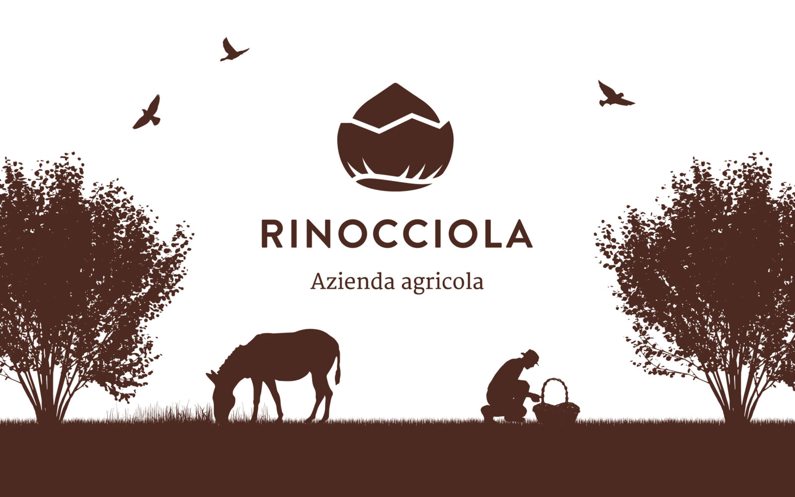landscape project for Rinocciola farm - 1