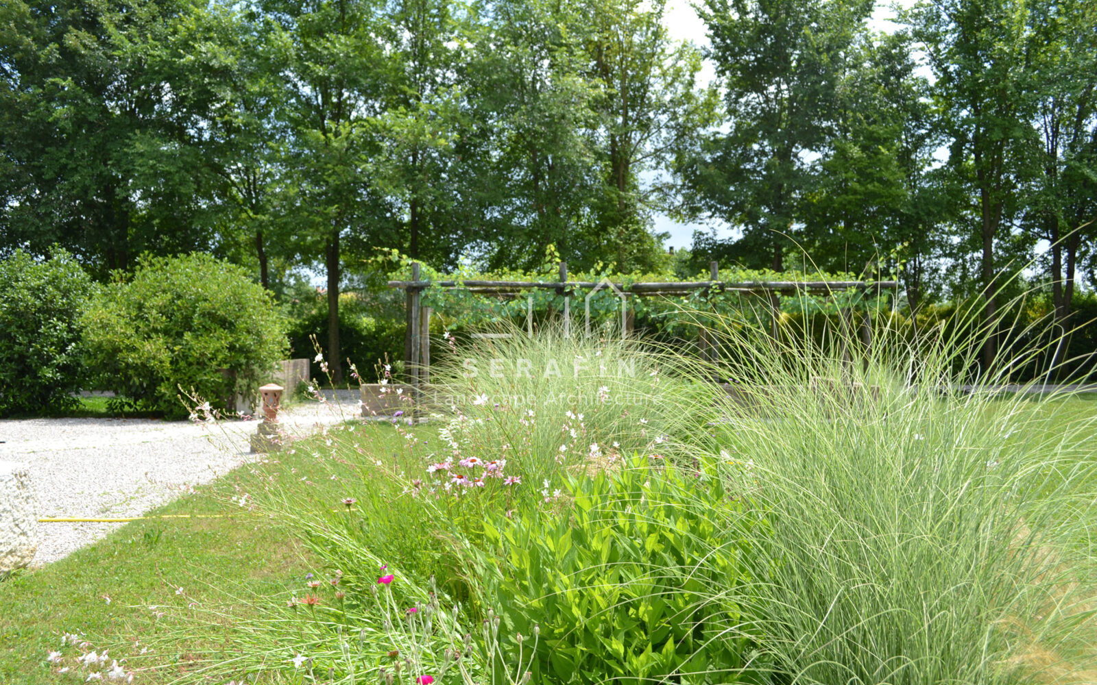 landscape project for Rinocciola farm - 2