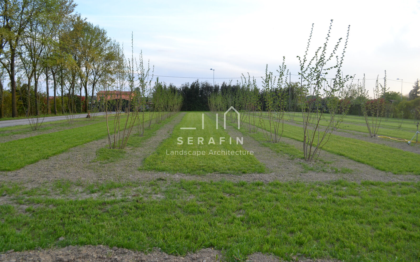 landscape project for Rinocciola farm - 6