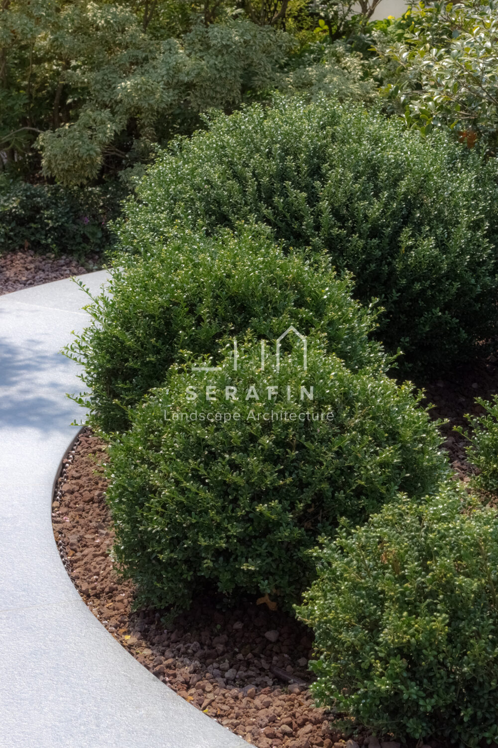 exclusive private garden project with swimming pool in Santa Maria di Sala - 12