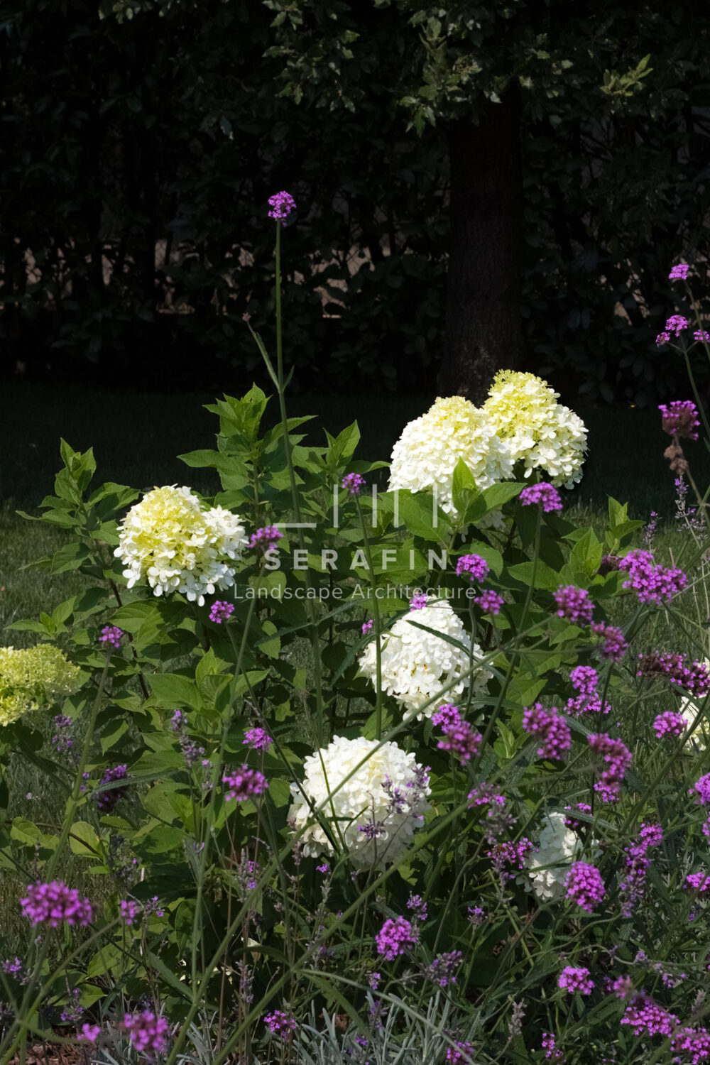 exclusive private garden project with swimming pool in Santa Maria di Sala - 16