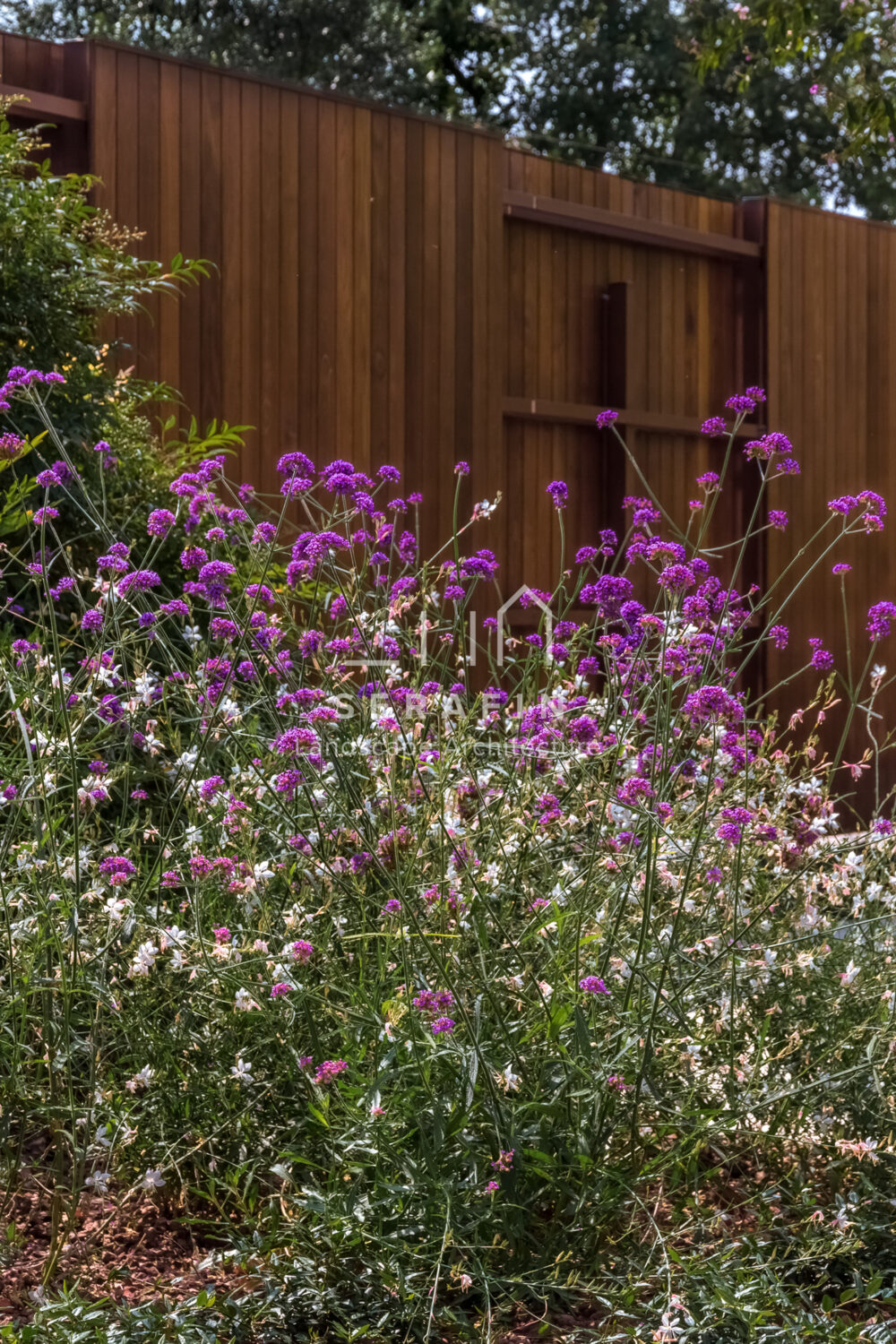 exclusive private garden project with swimming pool in Santa Maria di Sala - 17