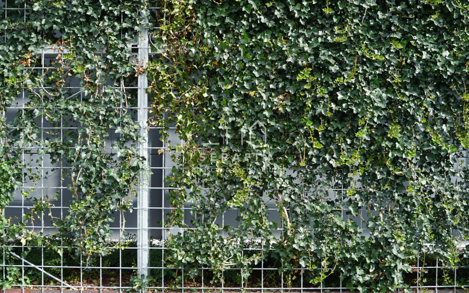 vertical corporate garden project with flower beds Cofiloc