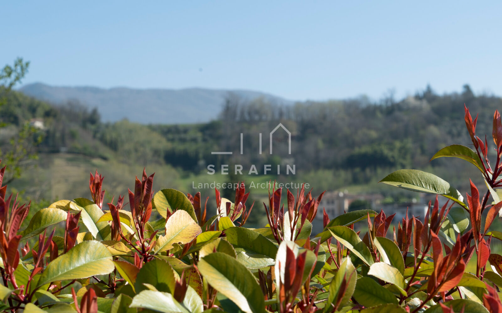 progetto giardino privato moderno a Vittorio Veneto - 6