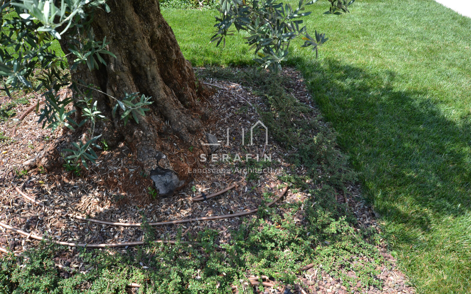 progetto di un giardino privato a Soligo