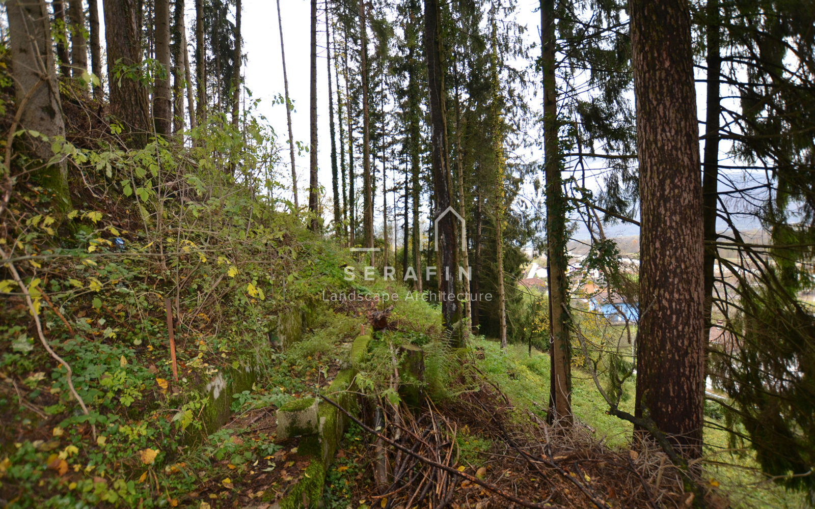 image of a historical garden in Farra d'Alpago - 14
