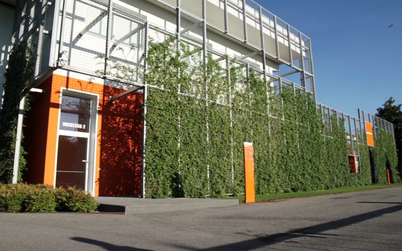 vertical green photo outside for company offices and shops