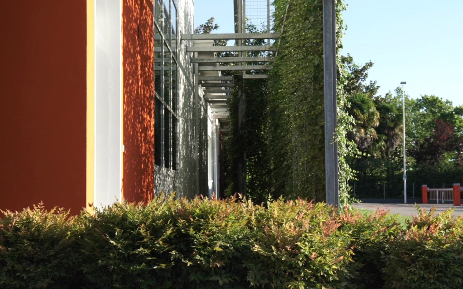 green outdoor and garden project for companies and businesses