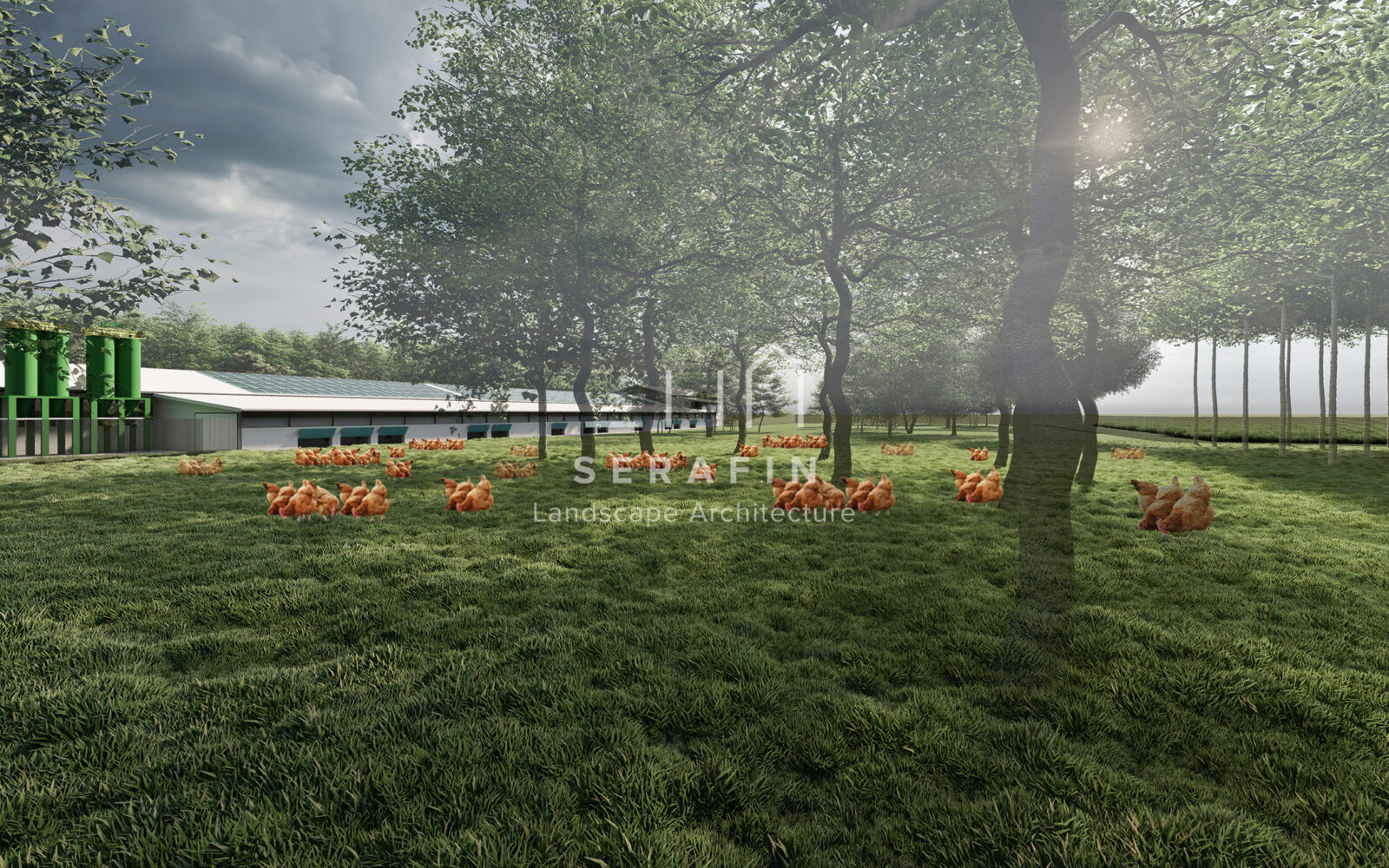 image of a landscape project of an organic chicken farm 6