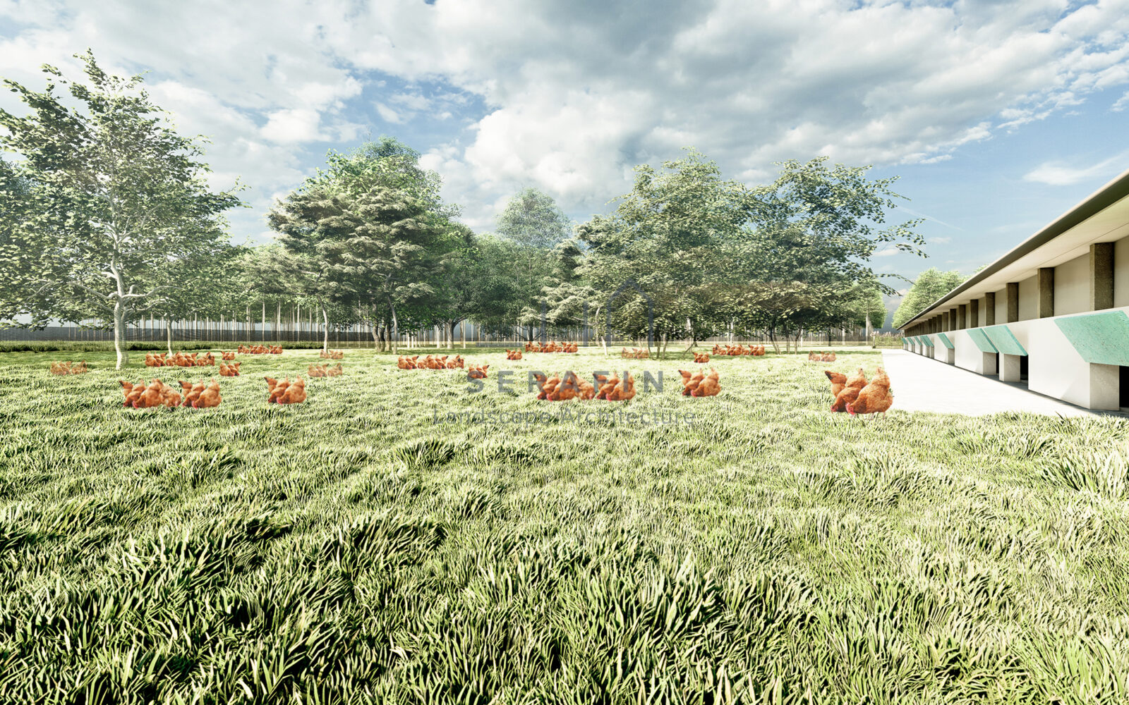 image of a landscape project of an organic chicken farm 7