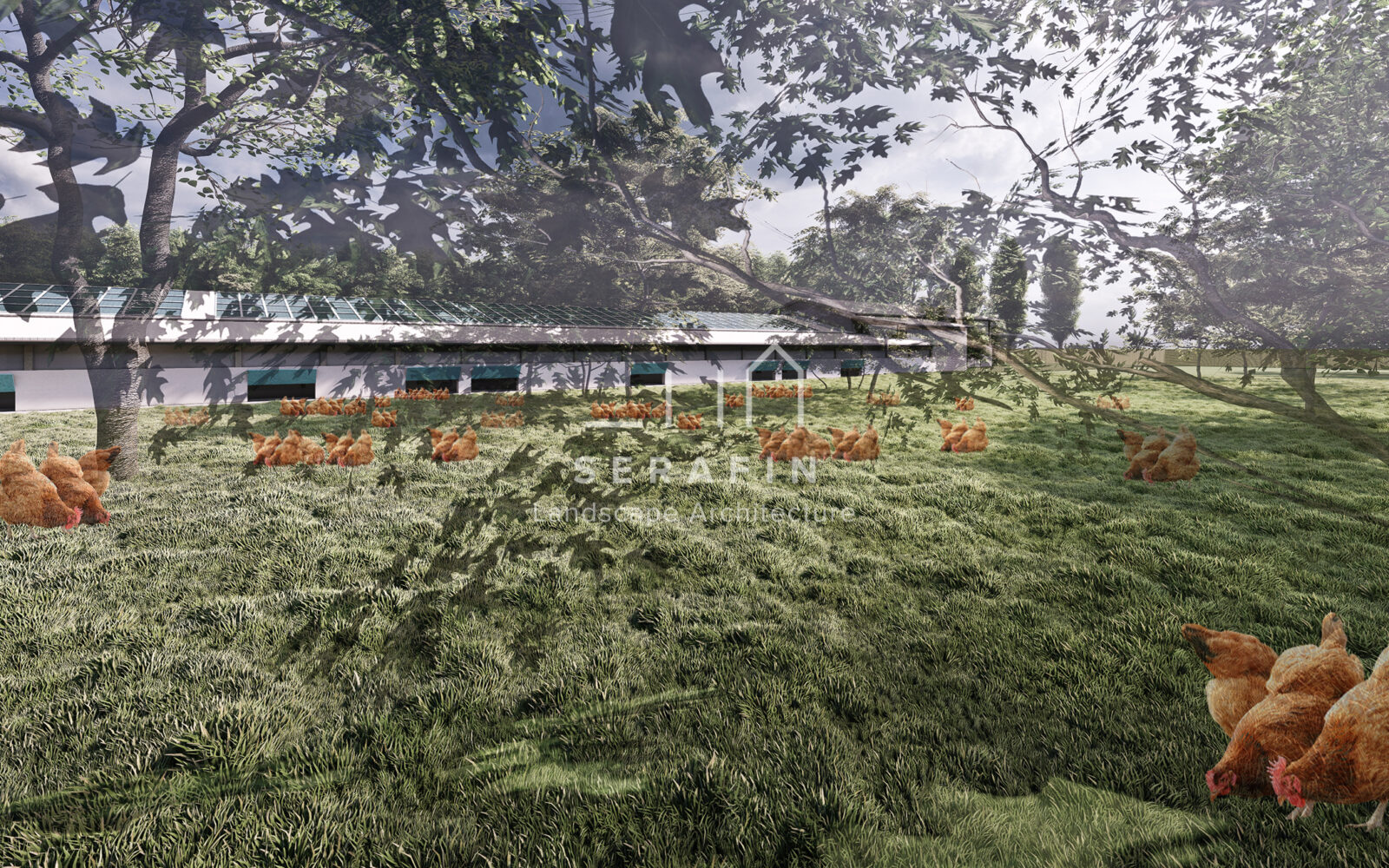image of a landscape project of an organic chicken farm 8