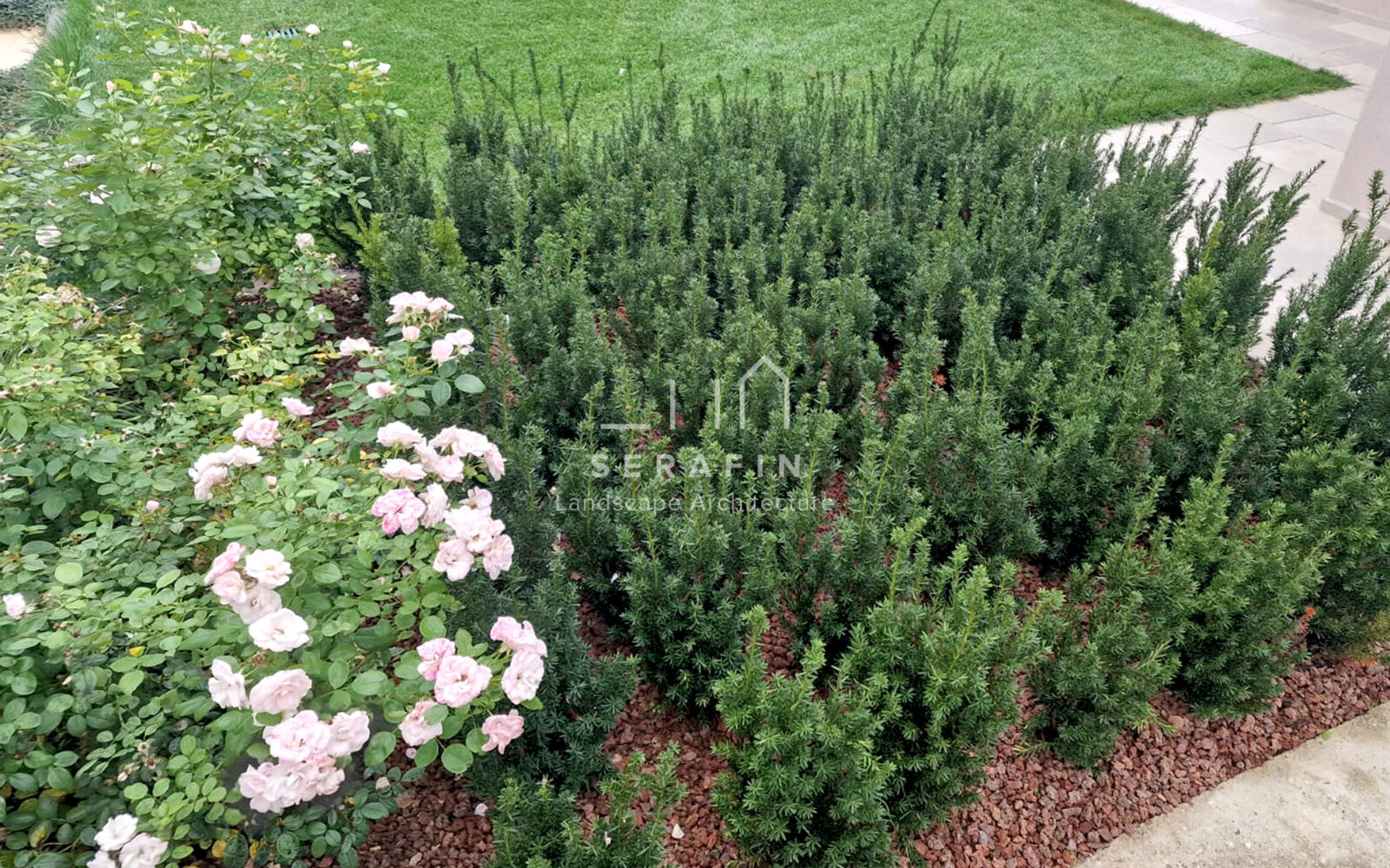 design and creation of a luxury garden in Mogliano Veneto