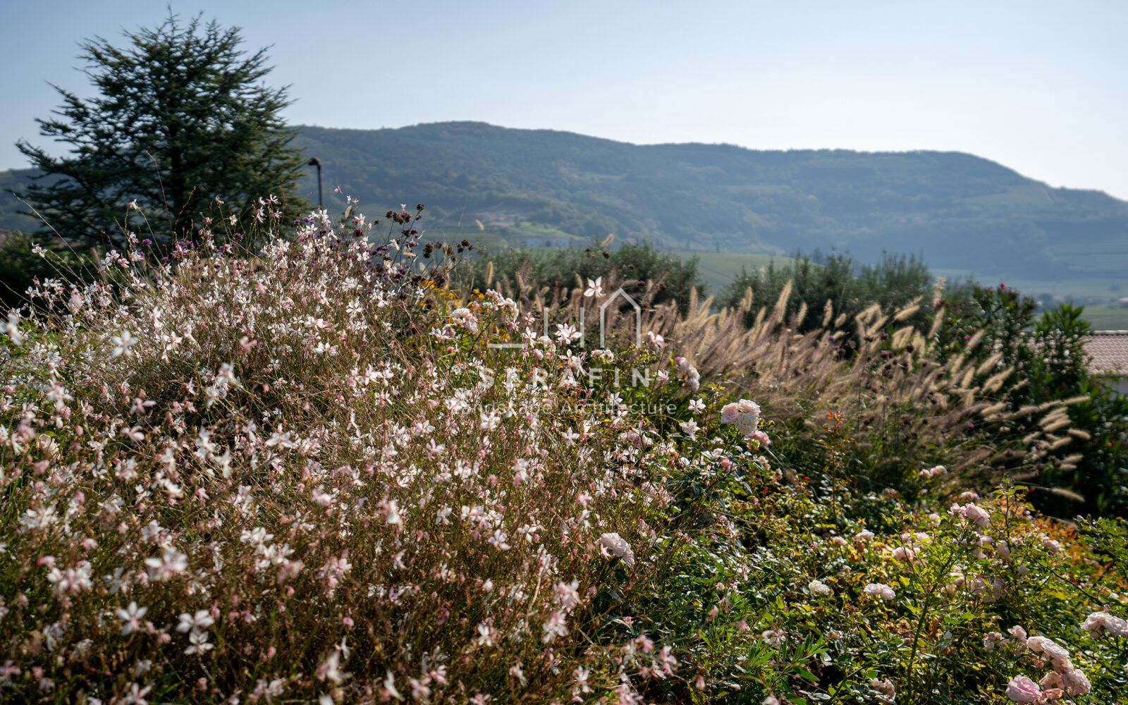 exclusive garden project in Trevignago of Verona - 7