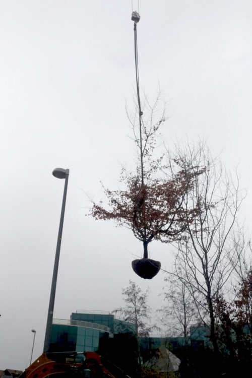 landscape equipment progettazione e realizzazione giardini 6
